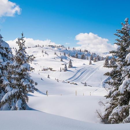 Chalet Anelie Happy Rentals Les Houches Dış mekan fotoğraf