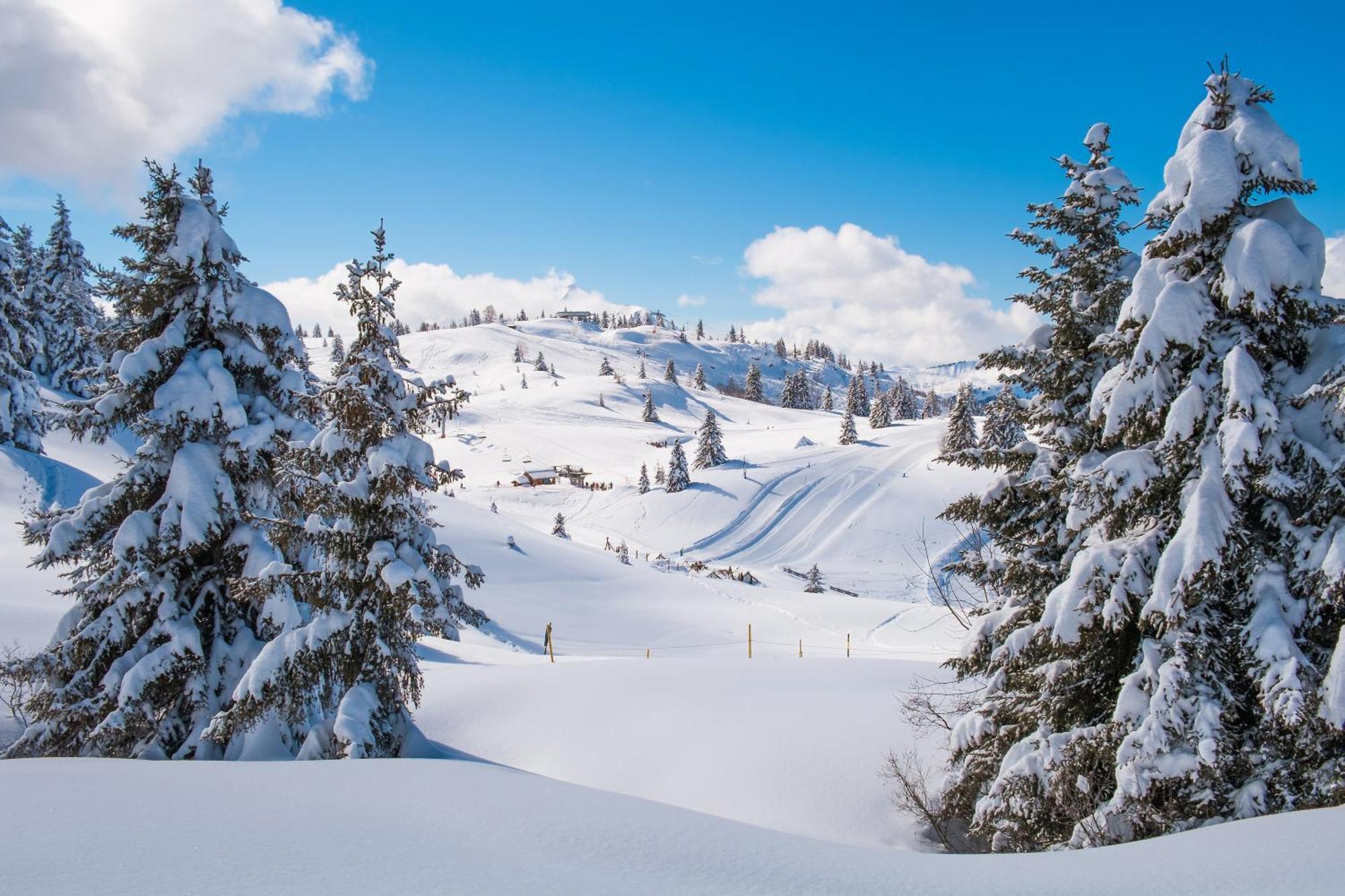 Chalet Anelie Happy Rentals Les Houches Dış mekan fotoğraf