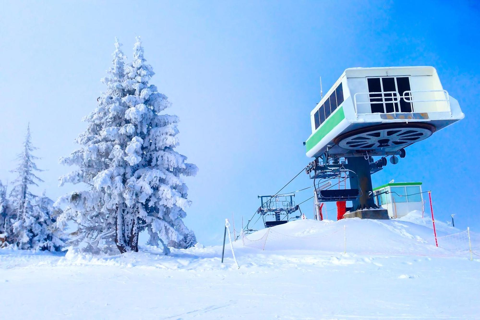Chalet Anelie Happy Rentals Les Houches Dış mekan fotoğraf
